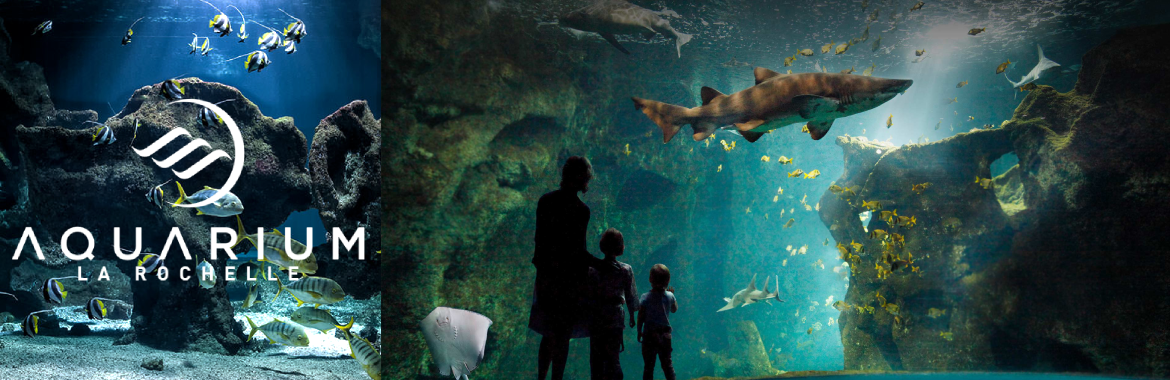 l'Aquarium de la Rochelle