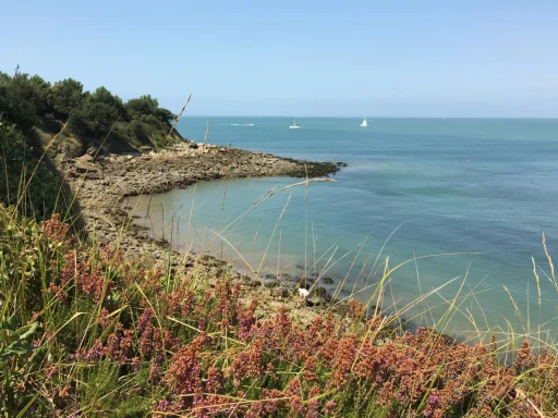 UNE JOURNÉE À L’ÎLE D’AIX